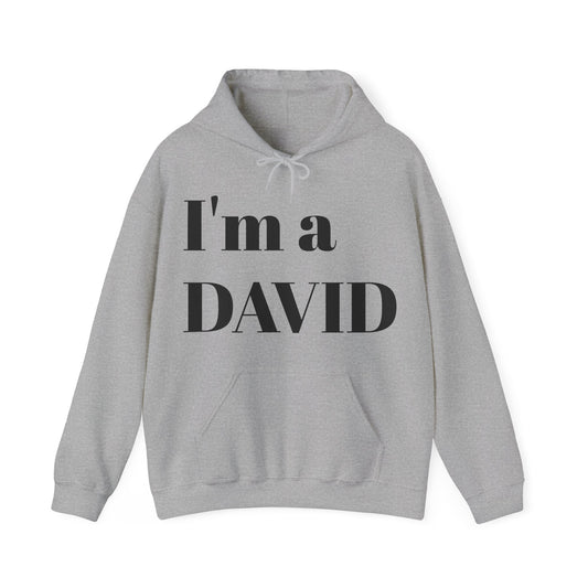 I'm David Hoody