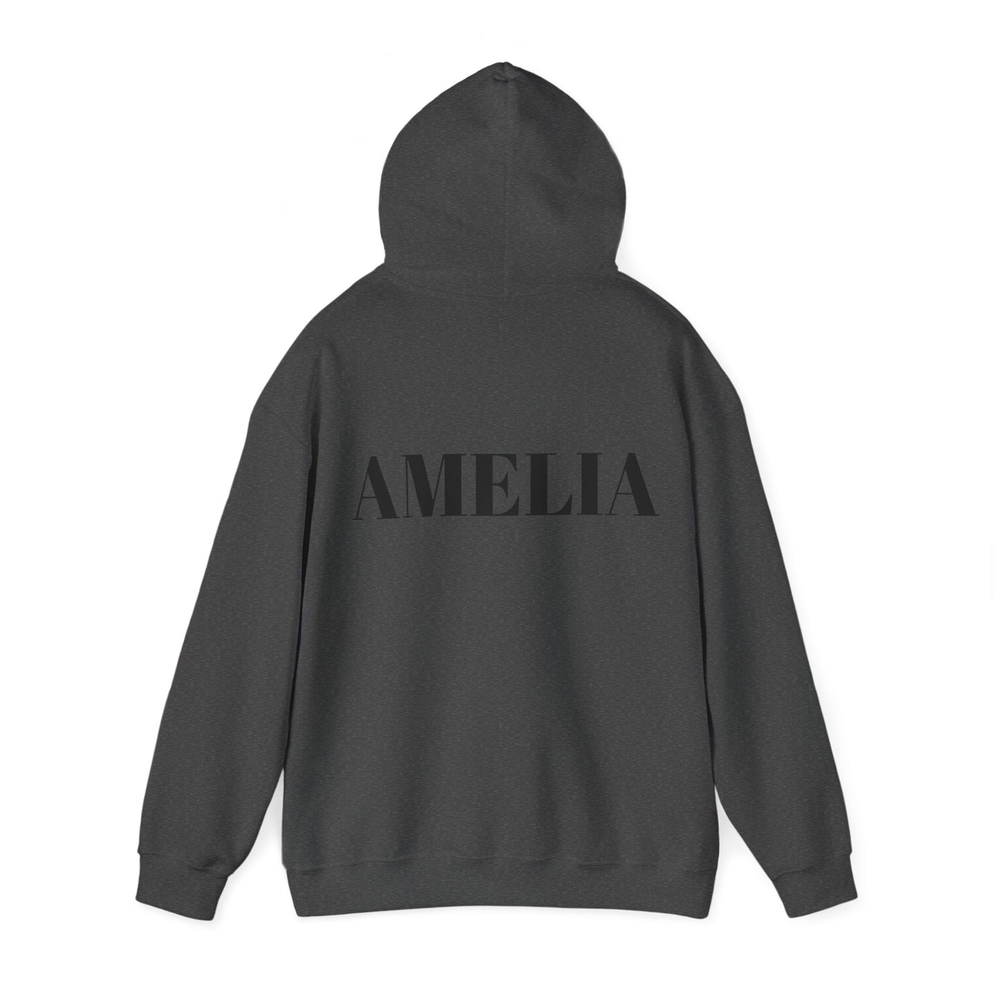 I’m Amelia Hoody